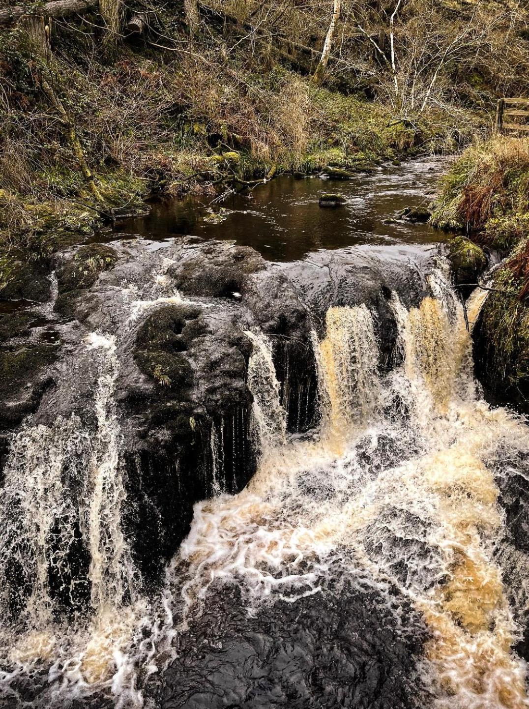 Glenariff Forest Evergreen Lodge Экстерьер фото